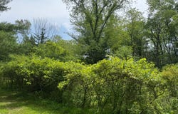 34 Gunpowder Dr, Athens, NY 12015