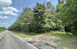 Highway 483, Morton, MS 39117