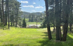 340 Lot 2 Major Lake Drive, Hill City, SD 57745-3400