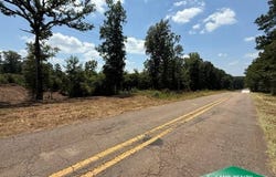 0 Hwy 151, Downsville, LA 71234