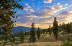 7 BALLARD Ave, KETTLE FALLS, WA 99141