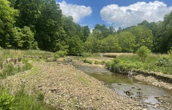 61 Acres JW Harris Road, Russell Springs, KY 42642