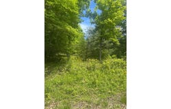1750 CC Harris Rd., Lewisburg, KY 42256