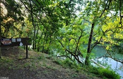 8400 River, Forestville, CA 95436