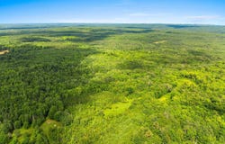 Cty J Road, Irma, WI 54442