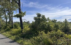 0 Mt. Holly Rd, Montrose, VA 22520