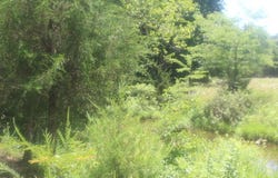 3176 S 170th Road, Polk, MO 65727