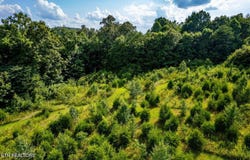 0 Thorn Grove Pike, Strawberry Plains, TN 37871