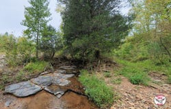 of Luther Shepard Rd., Burkesville, KY 42717