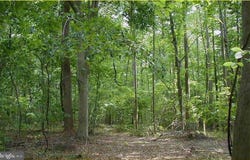12605 CEDARVILLE ROAD, BRANDYWINE, MD 20613
