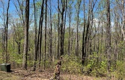 Lot 86 Rocky Knob Estates, Young Harris, GA 30582