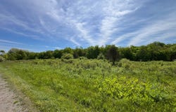 1 VL Fairview Road, Farmersville Station, NY 14060