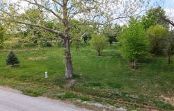 805 Lincoln Ave, Pacific Junction, IA 51561