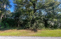 .5 Ac Highway 612, Lucedale, MS 39452