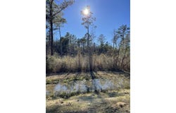 MS-44 lot: 6, Columbia, MS 39429
