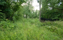 Finch Rd Road, Marcellus, MI 49067