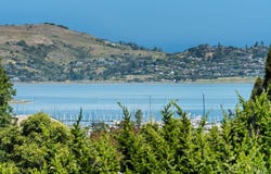 86 Marin Avenue, Sausalito, CA 94965