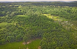 329 Flower Garden Road, Grandview, TN 37337
