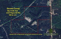 3320 Mapes Rd, Mio, MI 48647
