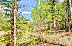 224 APACHE TRAIL, Como, CO 80432