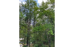Helen Drive, Grayling, MI 49738