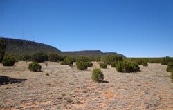 Tract 1B Camino del Sol, NM 87569