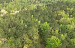5530 County Road 33, Ozark, AL 36360