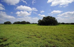 2002 County Road 276, Bertram, TX 78605