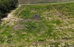 0-Lot 1 County Road 17, Headland, AL 36345