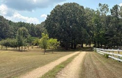 753 Nevada 15, Rosston, AR 71858