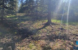 Whitetail Dr, Lead, SD 57754
