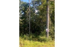 Lot #36 Eagles Nest, Broaddus, TX 75929