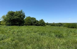 127 Ac +/- Climer Road, Golconda, IL 62938