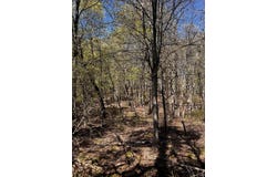 Lot 5881 Tumbleweed Drive, Long Pond, PA 18334