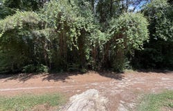Herring Loop Road, Wallace, NC 28466