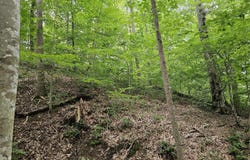 5.3 Acres Gravel Ln, Lexington, VA 24450