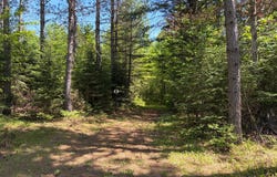 ON WILSON SCHOOL RD, Tomahawk, WI 54487