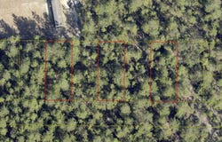 16 Lots Watson Rd, DeFuniak Springs, FL 32433
