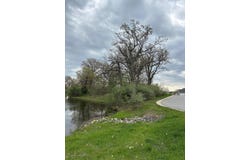 778 Ronny Court, Crown Point, IN 46307