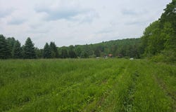 0WP County Rd 34, Norwich, NY 13815