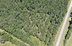 0 Mount Airy, Waverly Hall, GA 31831