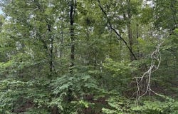 Hot Springs Village, AR 71909