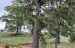 lot 203 Overhill Court, Hillister, TX 77624