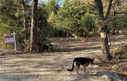 Tract 7 AUDRAIN RD 935, Mexico, MO 65265