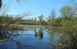 11480 N North Adams Road, North Adams, MI 49249