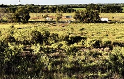 2551 SCULL RD, Martindale, TX 78655