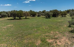 33 CIMARRON TRAIL, Silver City, NM 88061