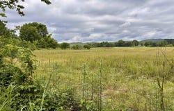 Hattieville, AR 72063