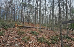 Lot 3 BROWN BEAR TRAIL, BLOOMERY, WV 26817