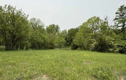 12210 N 59th Avenue W, Mingo, IA 50168